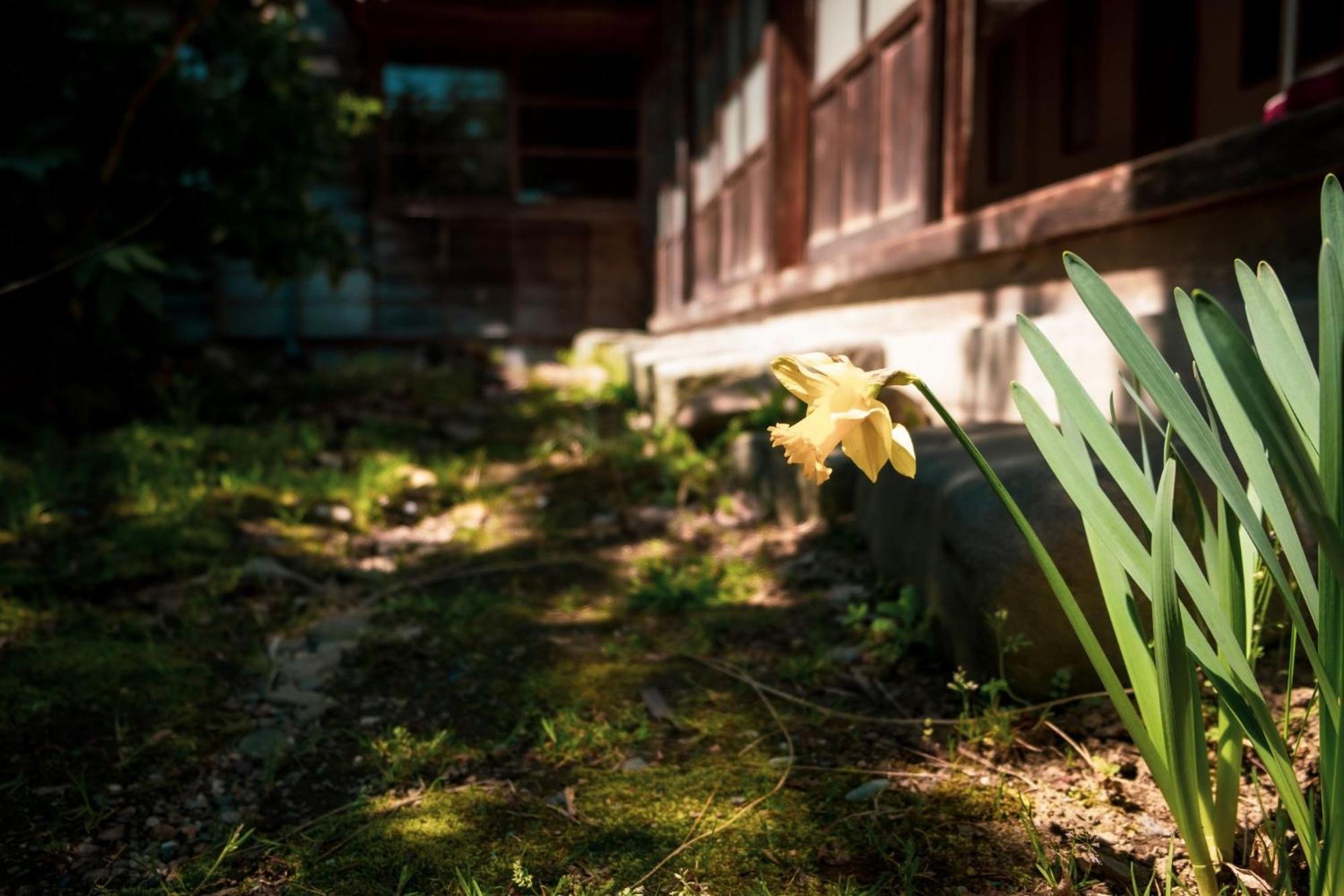Honno Ryokan / Vacation Stay 60049 Yahaba Exteriör bild